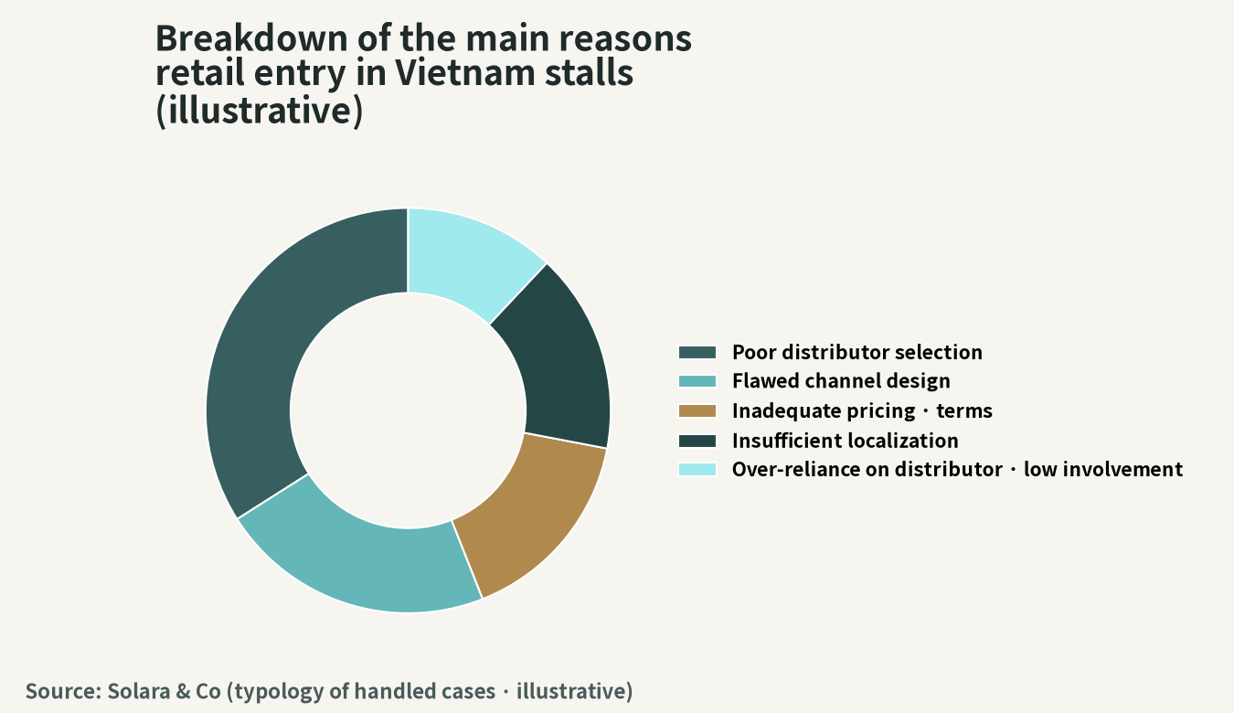 Breakdown of the main causes of Vietnam retail entry underperforming (illustration)